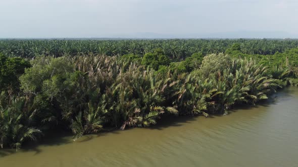 Aerial view wetland of Krian River