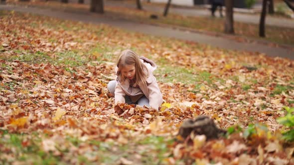 Cheerful and Sweet Little Girl Collects Fallen Autumn Leaves