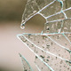 Rain on Broken Window Glass - VideoHive Item for Sale