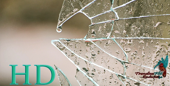 Rain on Broken Window Glass