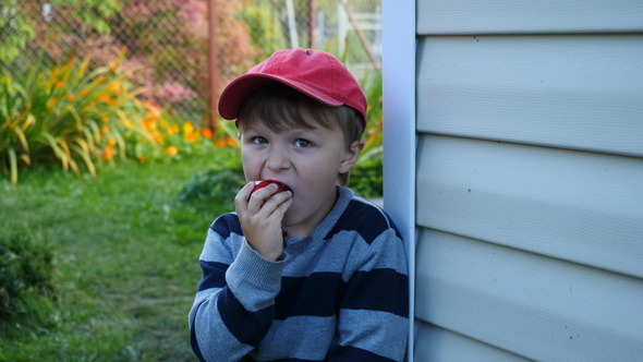 Little Boy Eating an Apple 