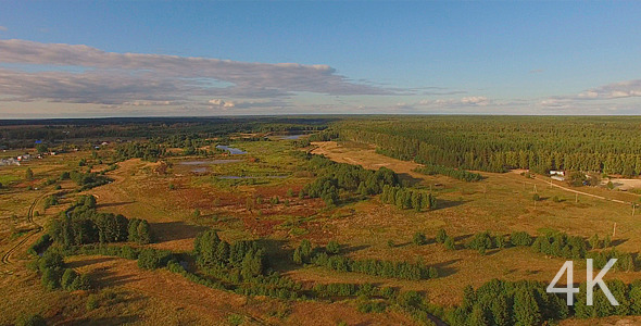 Beautiful Summer Green Forest and Fields. Aerial