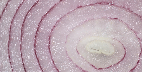Rotating Background: Onion