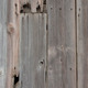 Old Barn Wood Texture - GraphicRiver Item for Sale