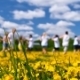 Meadow Of Dandelions, Teens Playing - VideoHive Item for Sale