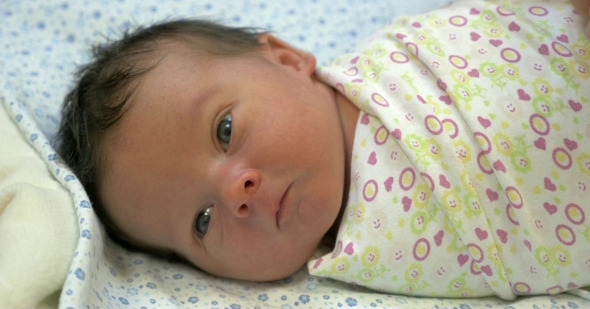 Swaddled Newborn Baby