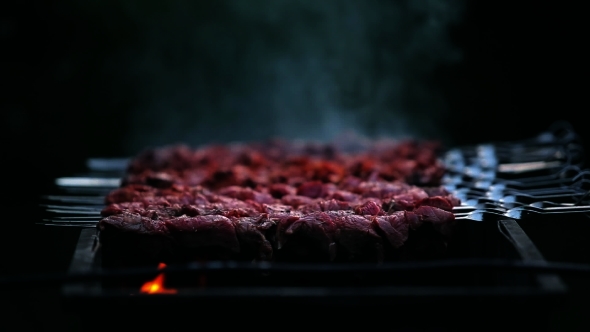 A Tasty Meat Cooking On a Fire alt