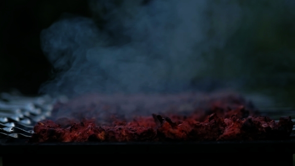 A Tasty Meat Cooking On a Fire alt