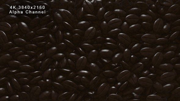 Rain Coffee Beans Transition alt