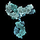 Immunoglobulin G (IgG) Antibody Rotating - VideoHive Item for Sale