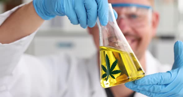 Man Chemist Shaking Yellow Liquid with Hemp in Laboratory  Movie Slow Motion