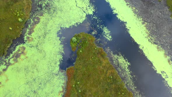 Aerial flying over the algea covered waters of Shirley Bog in the Maine countryside with reflections