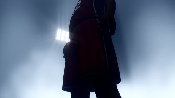 Basketball Player alt