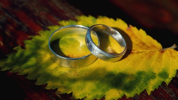 Two Wedding Rings On a Yellow Sheet