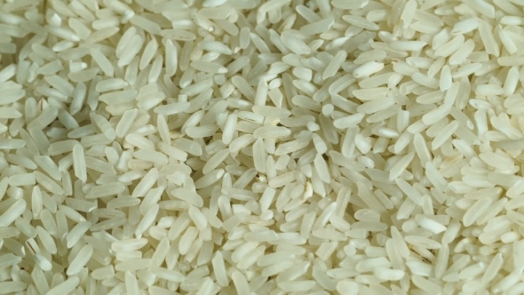 The Grains Of White Rice