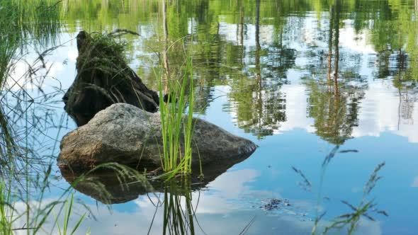 Stone in the water near lake shore