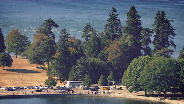 Busy Park Next To The Sea