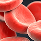 Red Blood Cells - Detailed Pack - VideoHive Item for Sale