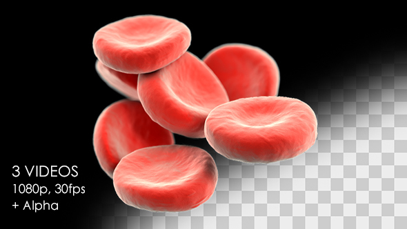 Red Blood Cells - Detailed Pack