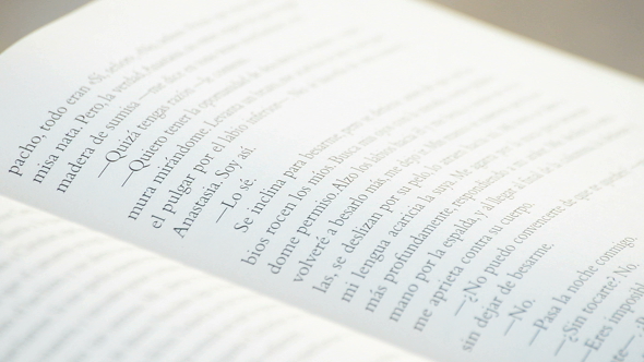 Reading a Book in a Park alt