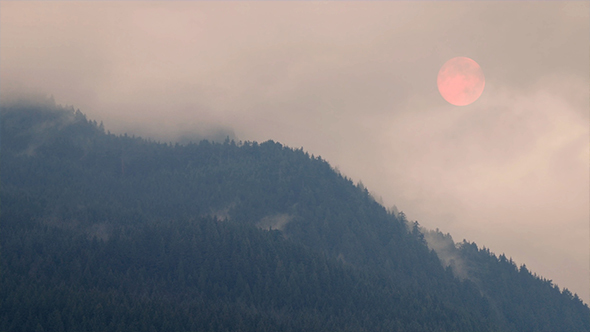 Forest Fire Smoke Makes Sun Pink