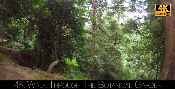 Walk Through The Botanical Garden