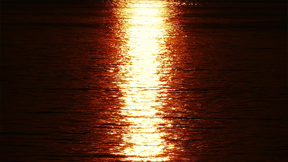 Sun Reflected On Shimmering Water Surface