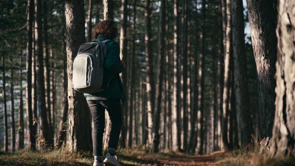 A Young Woman with a Backpack Walks Along the Path in the Autumn Forest