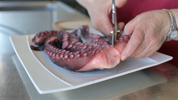 Cooking Octopus 01 alt