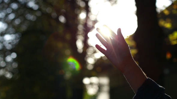 Hand Girl in the Sun