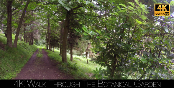 Walk Through The Botanical Garden 15