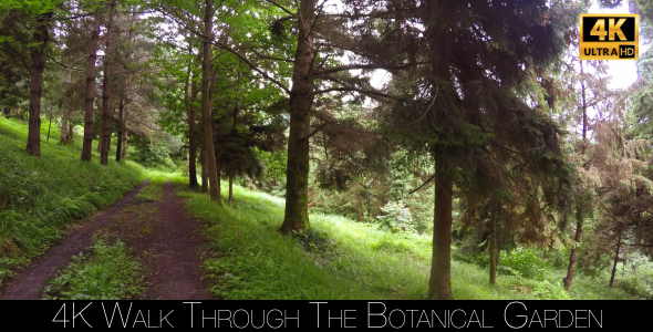 Walk Through The Botanical Garden 16