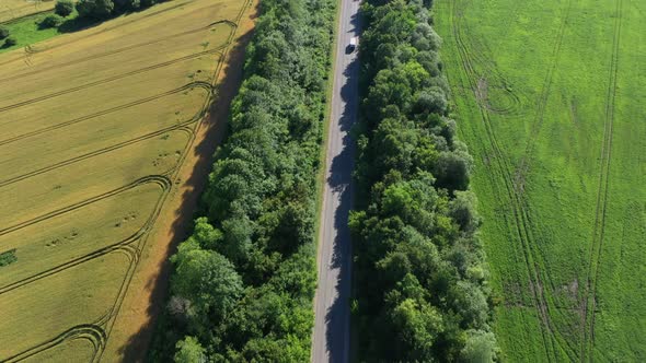 Aerial View Road With Trees Near Field