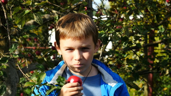Boy Eating a Red Apple