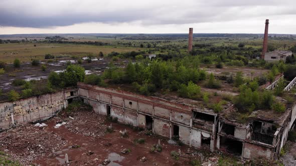 Aerial drone view of destroyed industrial plant. Many green plants on the roof of abandoned factory