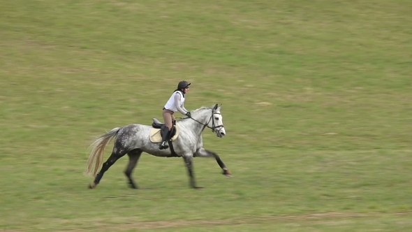 Jockey On Horse In Gallop