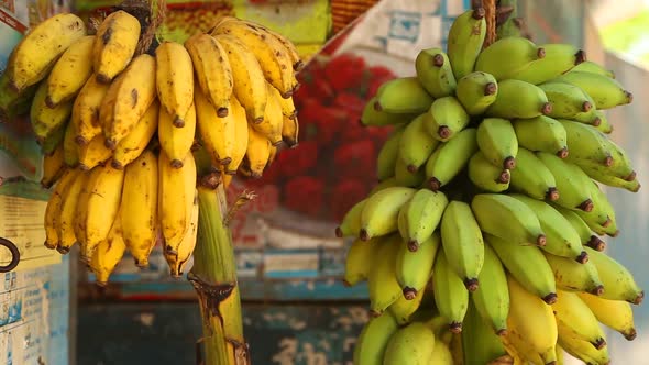 View Of Bananas Hanging In Local Shop In Mirissa, Sri Lanka. 3