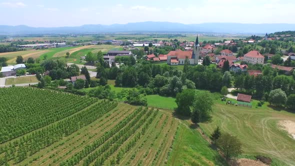 Beautiful Aerial Landscape Of Vineyard Fields In Slovenia. 6