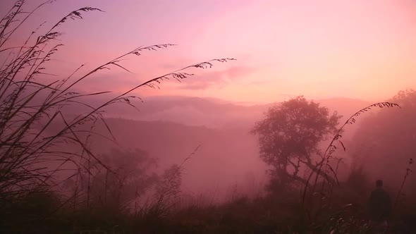 View Of Foggy Sunrise On The Little Adam's Peak In Ella, Sri Lanka 13