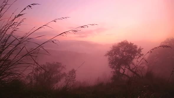 View Of Foggy Sunrise On The Little Adam's Peak In Ella, Sri Lanka 14