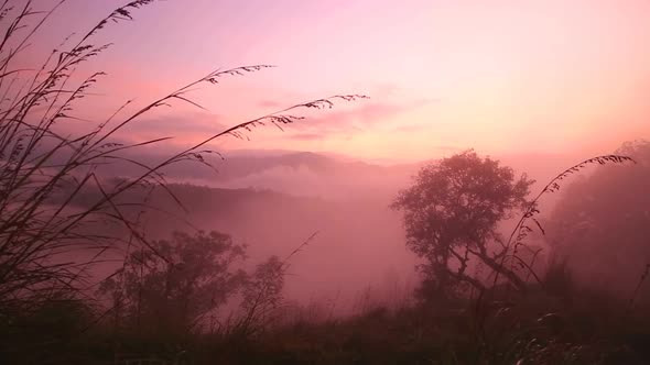 View Of Foggy Sunrise On The Little Adam's Peak In Ella, Sri Lanka 16
