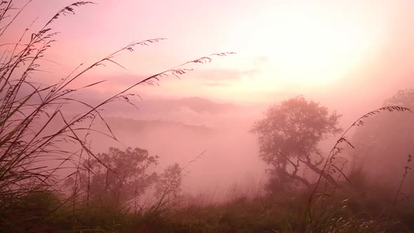 View Of Foggy Sunrise On The Little Adam's Peak In Ella, Sri Lanka 19