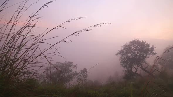 View Of Foggy Sunrise On The Little Adam's Peak In Ella, Sri Lanka 23