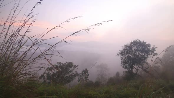 View Of Foggy Sunrise On The Little Adam's Peak In Ella, Sri Lanka 25