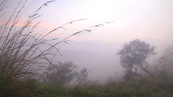 View Of Foggy Sunrise On The Little Adam's Peak In Ella, Sri Lanka 26