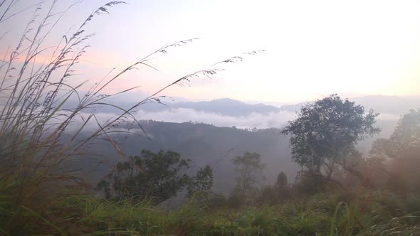 View Of Foggy Sunrise On The Little Adam's Peak In Ella, Sri Lanka 27