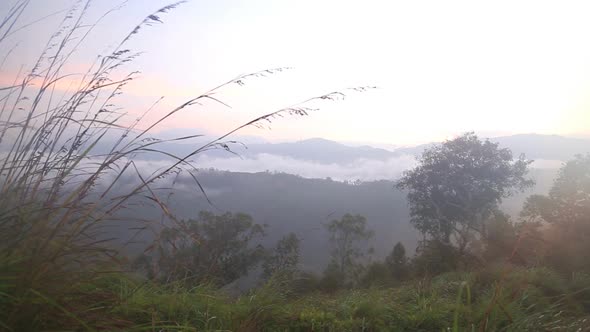 View Of Foggy Sunrise On The Little Adam's Peak In Ella, Sri Lanka 28