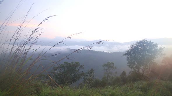 View Of Foggy Sunrise On The Little Adam's Peak In Ella, Sri Lanka 30