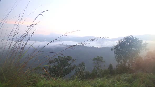 View Of Foggy Sunrise On The Little Adam's Peak In Ella, Sri Lanka 31
