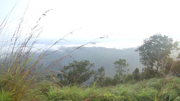 View Of Foggy Sunrise On The Little Adam's Peak In Ella, Sri Lanka 34